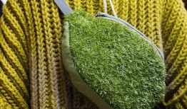 青青青草国产视频,国产视频中的青春记忆与成长轨迹